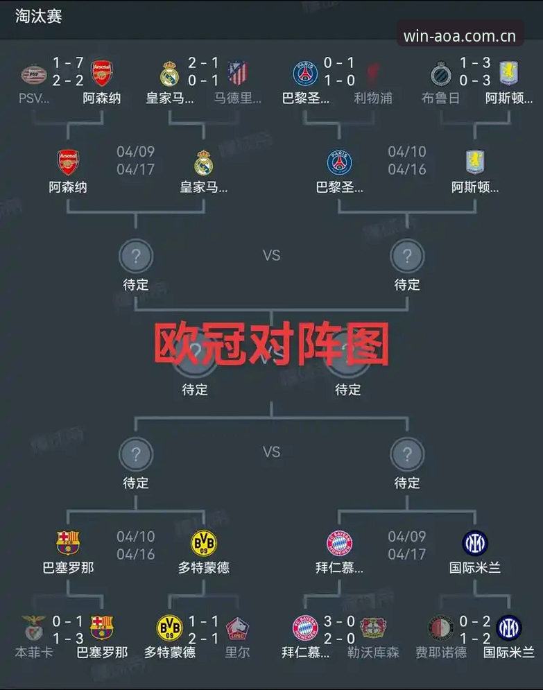 AOA体育app下载哪个好 掌握埃梅里欧联杯五冠王的实用技巧,AOA体育平台深度解析胜利关键